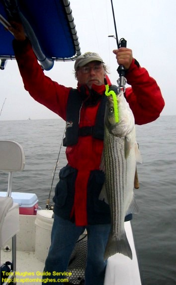 Rockfish lure